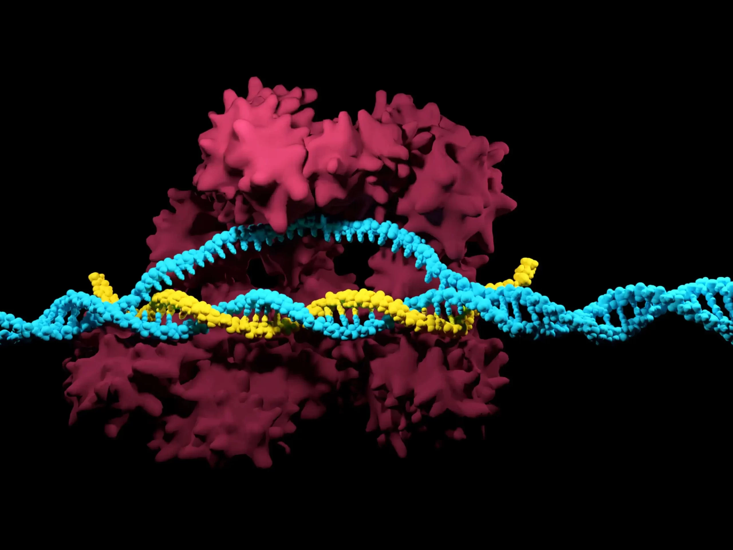 CRISPRCas9 - A genetic Revolution